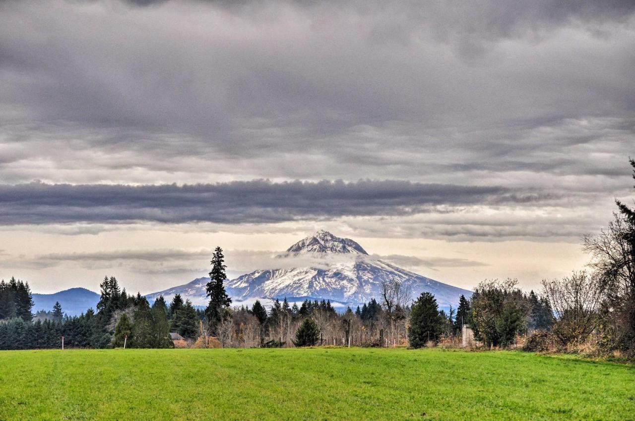 BoringCute And Cozy Pdx Area Townhouse 31 Mi To Mt Hood!别墅 外观 照片